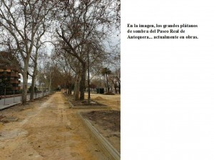 Paseo Real Antequera