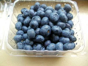 blueberry2-file8341308761374